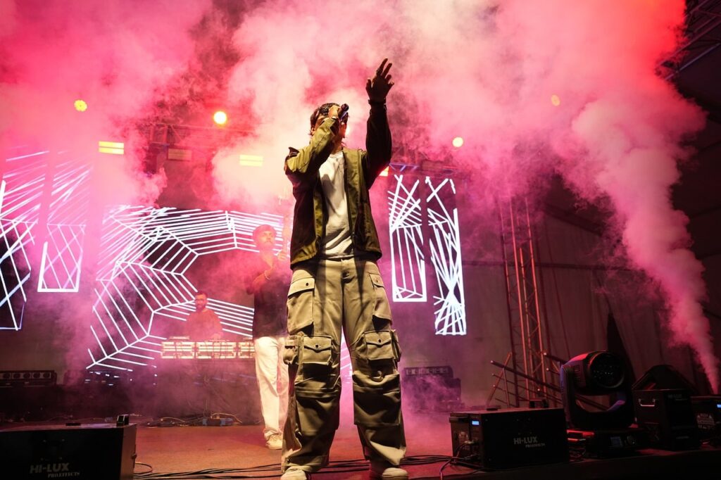 singer, music, concert